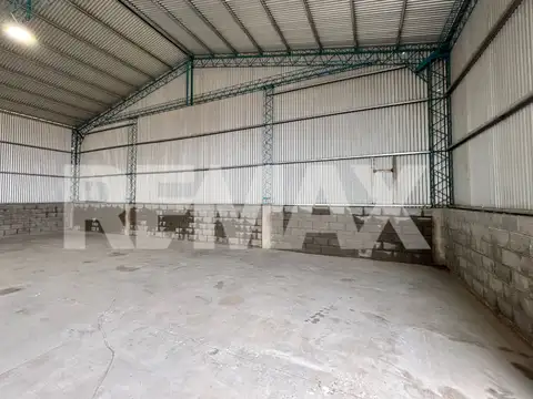 Holzmann y Chaco 100