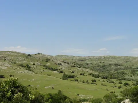Ruta 39 y 15 kms de camino vecinal