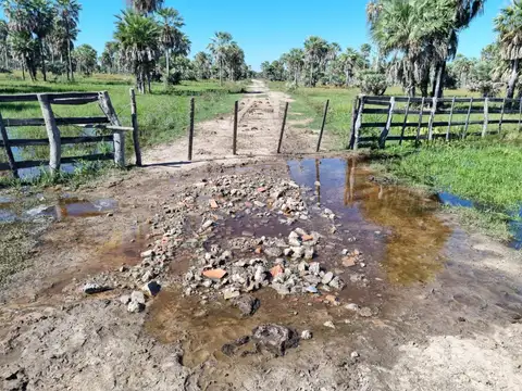 Pedro Pena- Dep. Paraguayo