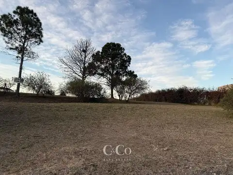 Terreno en Venta de 975,0 m2