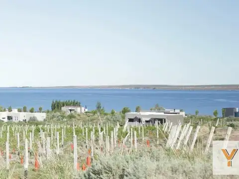 La Península - Pueblo de Viñas