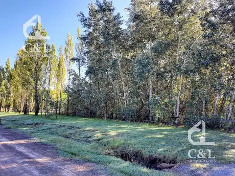 Terreno en Venta de 26891,0 m2