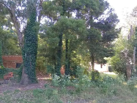 VENTA LOTE LAS DALIAS 426 M2