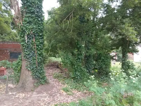 VENTA LOTE LAS DALIAS 426 M2