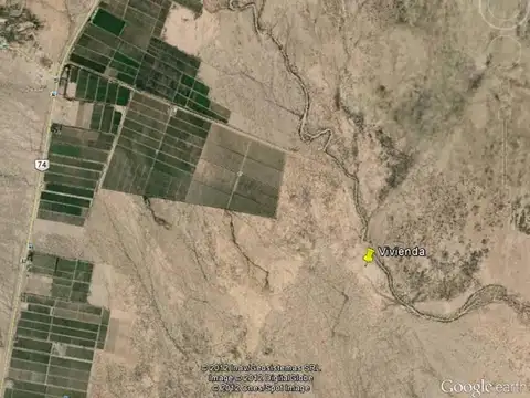 Campo en Venta Agrícola