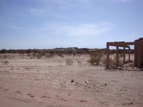 Campo en Venta de 400  ha