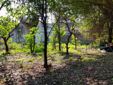 Casa en Alquiler de 3 dormitorios