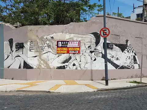 LOTE DE 1000 MTS "PUENTE AV SAN MARTIN"