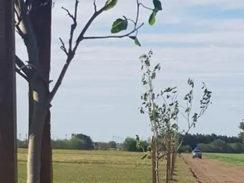 Terreno en Venta de 300,0 m2