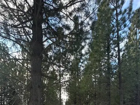 LOTEO EL REMANSO LOTE RB42 -  San Martín de los Andes, Neuquén , Piso 0