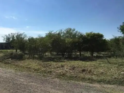 Carmen del Olmos y Manuel Cornu