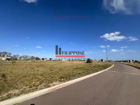 Punta Alta 2900