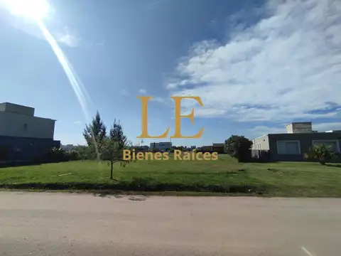 El Ensueño 100