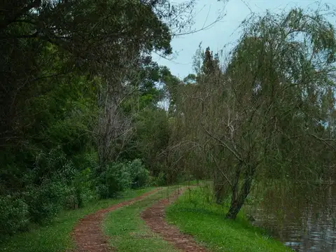 Terreno en Venta en Apostoles, USD 20.000