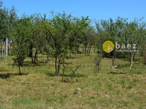 LOTE DE 1000M2 EN CARPINTERÍA