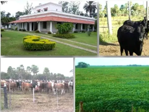 Campo 26.300 has- Villa Angela, Chaco