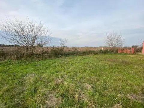 Terreno en Venta 37  mts Fondo