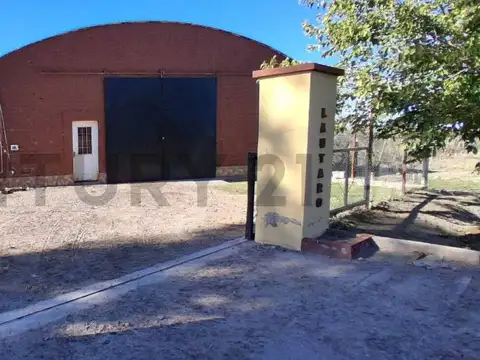 FINCA DE 31 HA CON CAÑON Y MALLA ANTIGRANIZO EN SAN MARTIN, MENDOZA