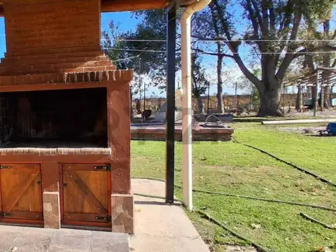 FINCA DE 31 HA CON CAÑON Y MALLA ANTIGRANIZO EN SAN MARTIN, MENDOZA