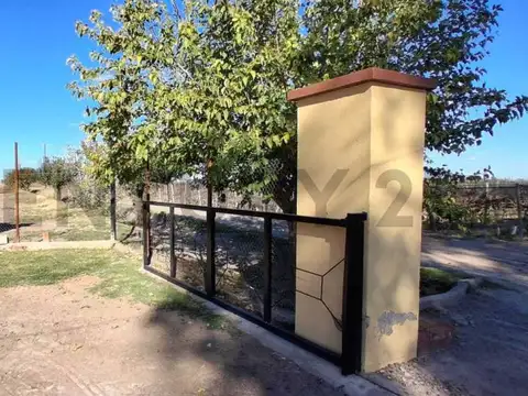 FINCA DE 31 HA CON CAÑON Y MALLA ANTIGRANIZO EN SAN MARTIN, MENDOZA