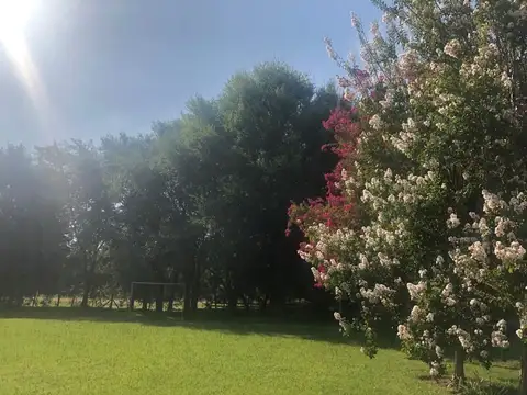 Isla de los Estados esquina  Los Reyunos 100