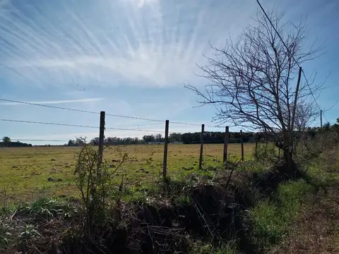 SAN ANDRES DE GILES VENTA CAMPO AGRICOLA GANADERO