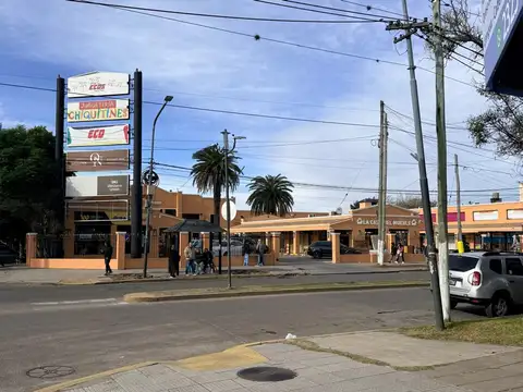 Camilo Costa 500