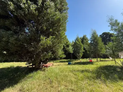 Venta Lote aprox800m2Barrio Parque Peña,Cedro Azul