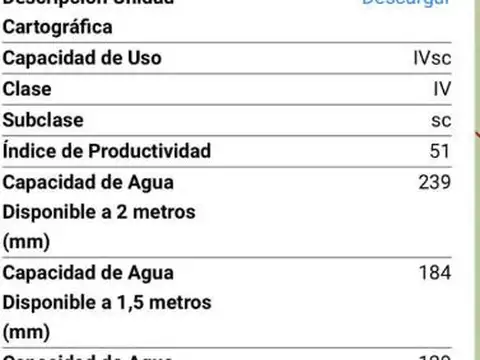 Pedania Candelaria RUTA 32