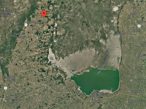 Pedania Candelaria RUTA 32