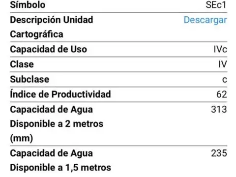 Pedania Candelaria RUTA 32