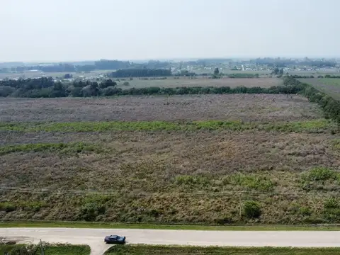 Se vende 1 Hectárea sobre calle 44, Reconquista.