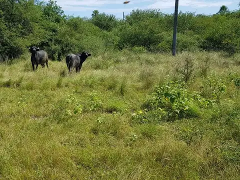 Argentina - Formosa - Estanislao del Campo