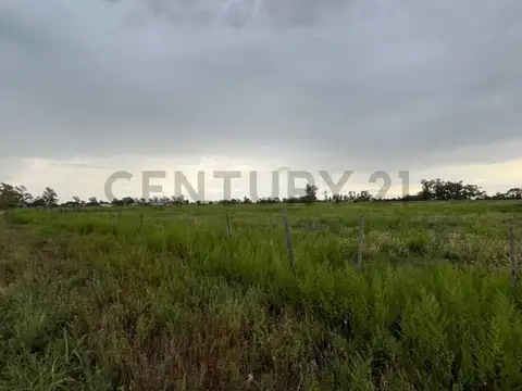 6 Has en VENTA  Autopista Córdoba-Rosario - Villa María