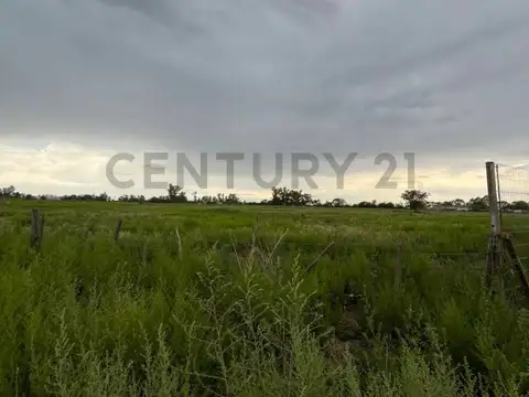 Autopista Cordoba Rosario Km 561