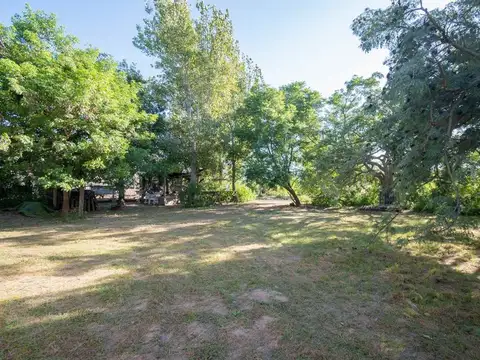 Servidumbre de paso Los Cedros 100