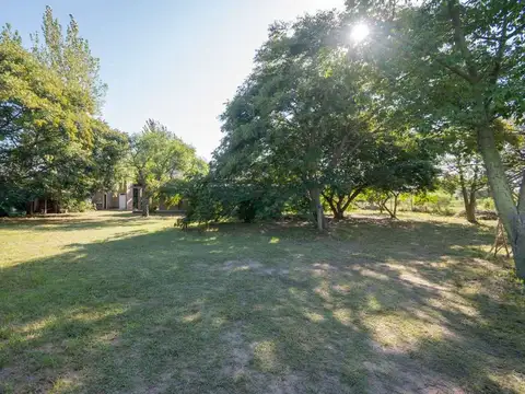 Servidumbre de paso Los Cedros 100