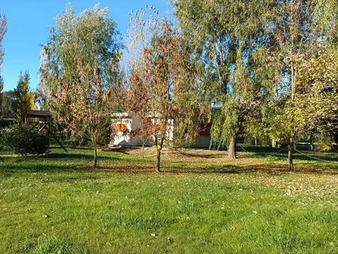 RIO DE LA PLATA al 2600