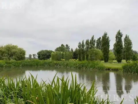 Terreno en Venta de 4700,0 m2