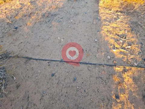 Terreno en Venta 39  mts Fondo