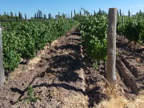 Campo en Venta con Alambrado