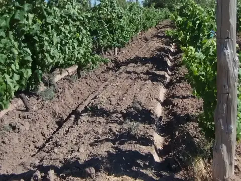 Campo en Venta de 10  ha