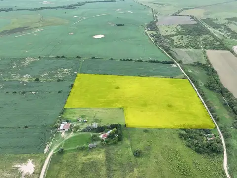 Campo en Venta de 10  ha