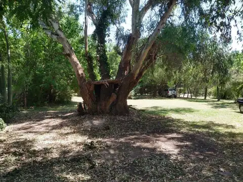 Quinta - Venta - Argentina, Cañuelas