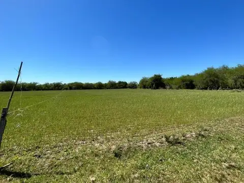 Km 235 Lindando Arroyo Juan Gonzalez