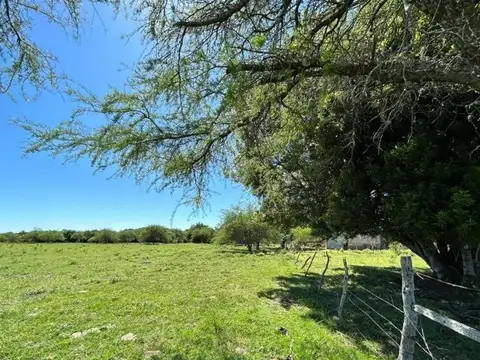 Km 235 Lindando Arroyo Juan Gonzalez