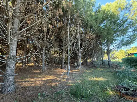 Terreno en Venta de 847,0 m2