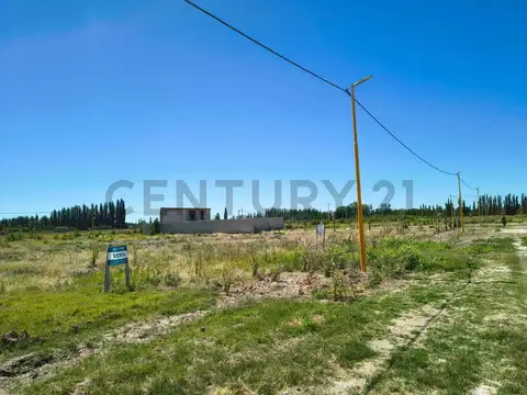 Terreno en Venta en Cervantes, USD 5.500