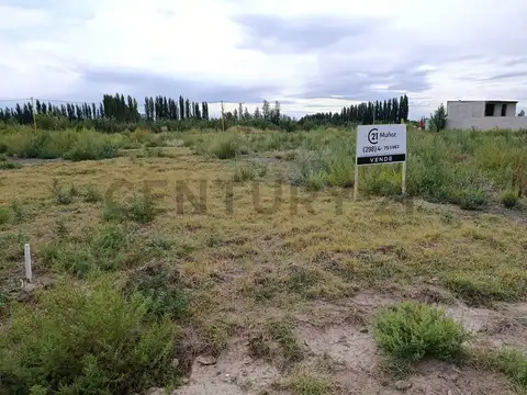 Terreno en Venta 10  mts Frente