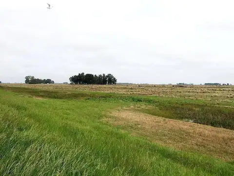 Campo en Venta de 248  ha